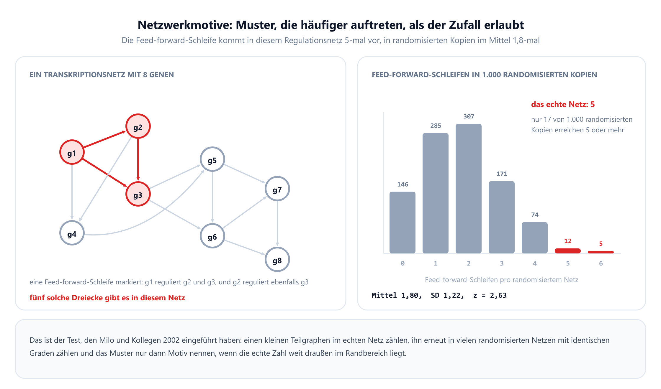 Ein gerichtetes Transkriptionsnetz aus acht Genen mit den Bezeichnungen g1 bis g8 und dreizehn Bögen. Eine Feed-forward-Schleife ist rot markiert: g1 reguliert g2, g1 reguliert g3, und g2 reguliert ebenfalls g3. Daneben zeigt ein Histogramm, wie viele Feed-forward-Schleifen in 1.000 randomisierten Kopien des Netzes mit identischen Graden auftreten: 146 Kopien enthalten keine, 285 eine, 307 zwei, 171 drei, 74 vier, 12 fünf und 5 sechs. Das echte Netz enthält fünf, bei einem randomisierten Mittel von 1,80, einer Standardabweichung von 1,22 und einem z-Wert von 2,63, und nur 17 der 1.000 randomisierten Kopien erreichen fünf oder mehr.