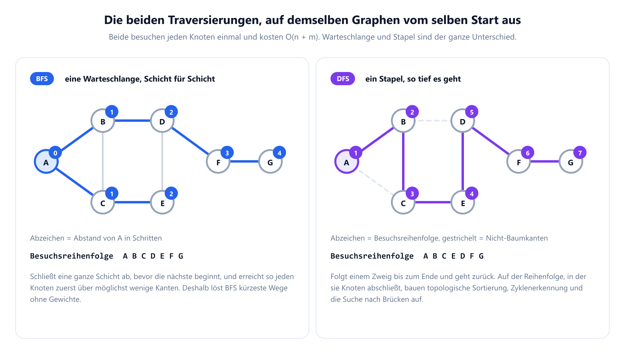Zwei Felder mit demselben Graphen aus sieben Knoten, traversiert ab Knoten A. Links die Breitensuche mit blauen Abzeichen, die für jeden Knoten seinen Abstand zu A in Schritten angeben: A ist 0, B und C sind 1, D und E sind 2, F ist 3 und G ist 4, mit den sechs hervorgehobenen Baumkanten und der Besuchsreihenfolge A B C D E F G. Rechts die Tiefensuche mit violetten Abzeichen, die die Besuchsreihenfolge 1 bis 7 als A, B, C, E, D, F, G angeben, mit ihren eigenen sechs hervorgehobenen Baumkanten und den beiden Nicht-Baumkanten gestrichelt.