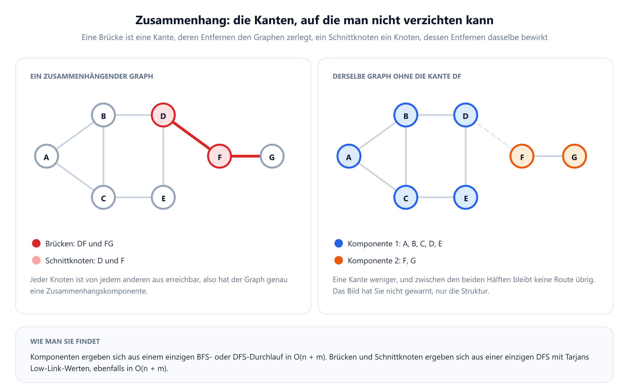Zwei Felder. Links der durchgehende Graph mit sieben Knoten, bei dem die Kanten D nach F und F nach G rot gezeichnet und die Knoten D und F rosa gefüllt sind, beschriftet als Brücken und Schnittknoten. Rechts derselbe Graph, bei dem die Kante D nach F entfernt und als blasse gestrichelte Linie gezeichnet ist, sodass das Bild in eine blaue Komponente mit A, B, C, D und E und eine orangefarbene Komponente mit F und G zerfällt. Ein Hinweis erklärt, dass Komponenten aus einem einzigen BFS- oder DFS-Durchlauf in linearer Zeit hervorgehen und Brücken sowie Schnittknoten aus einer einzigen DFS mit Tarjans Low-Link-Werten.
