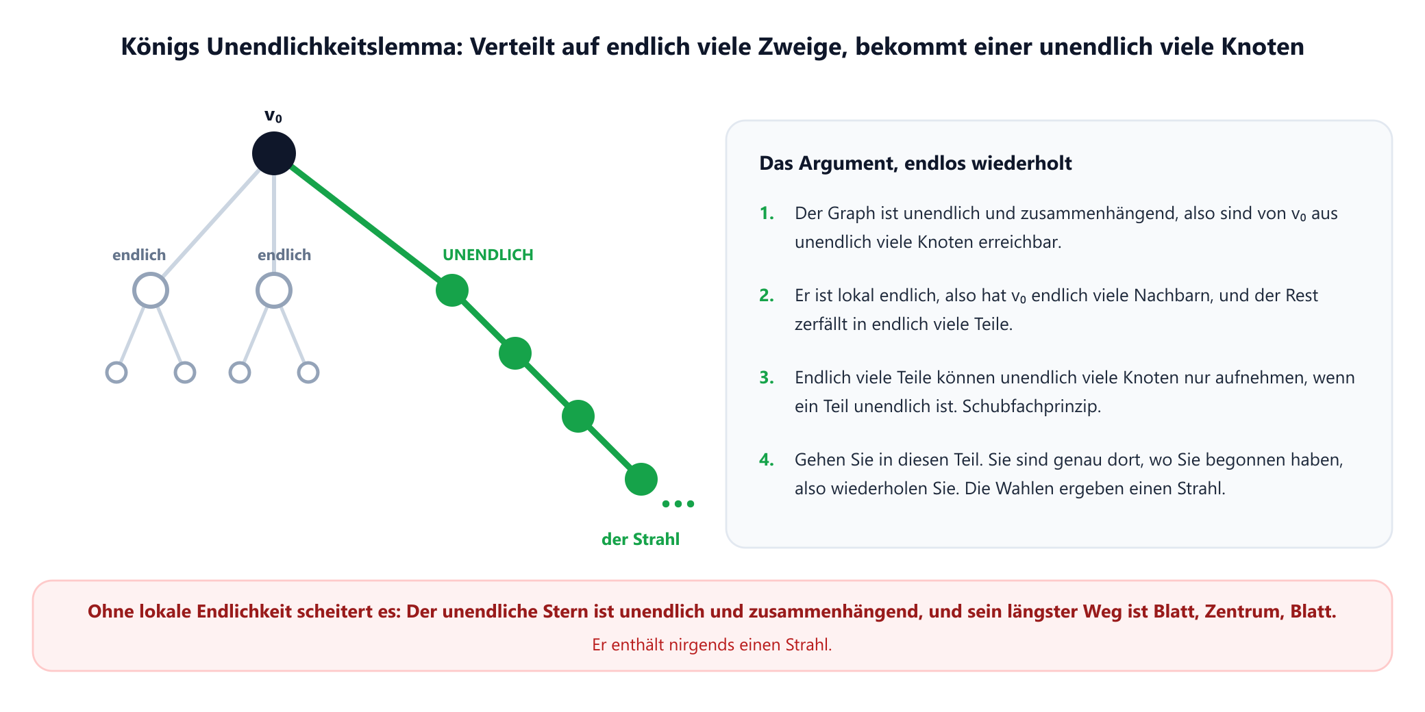 Ein unendlicher, lokal endlicher Baum mit Wurzel v null, dessen drei Teilbäume mit ihrer Größe beschriftet sind: endlich, endlich und unendlich. Der unendliche Zweig ist als derjenige hervorgehoben, dem das Argument folgt, und ein Text erklärt, dass die Wurzel nur endlich viele Nachbarn hat und der ganze Graph unendlich ist, also mindestens ein Zweig unendlich viele Knoten enthalten muss, sodass sich der Schritt endlos wiederholen lässt und einen Strahl aufbaut.