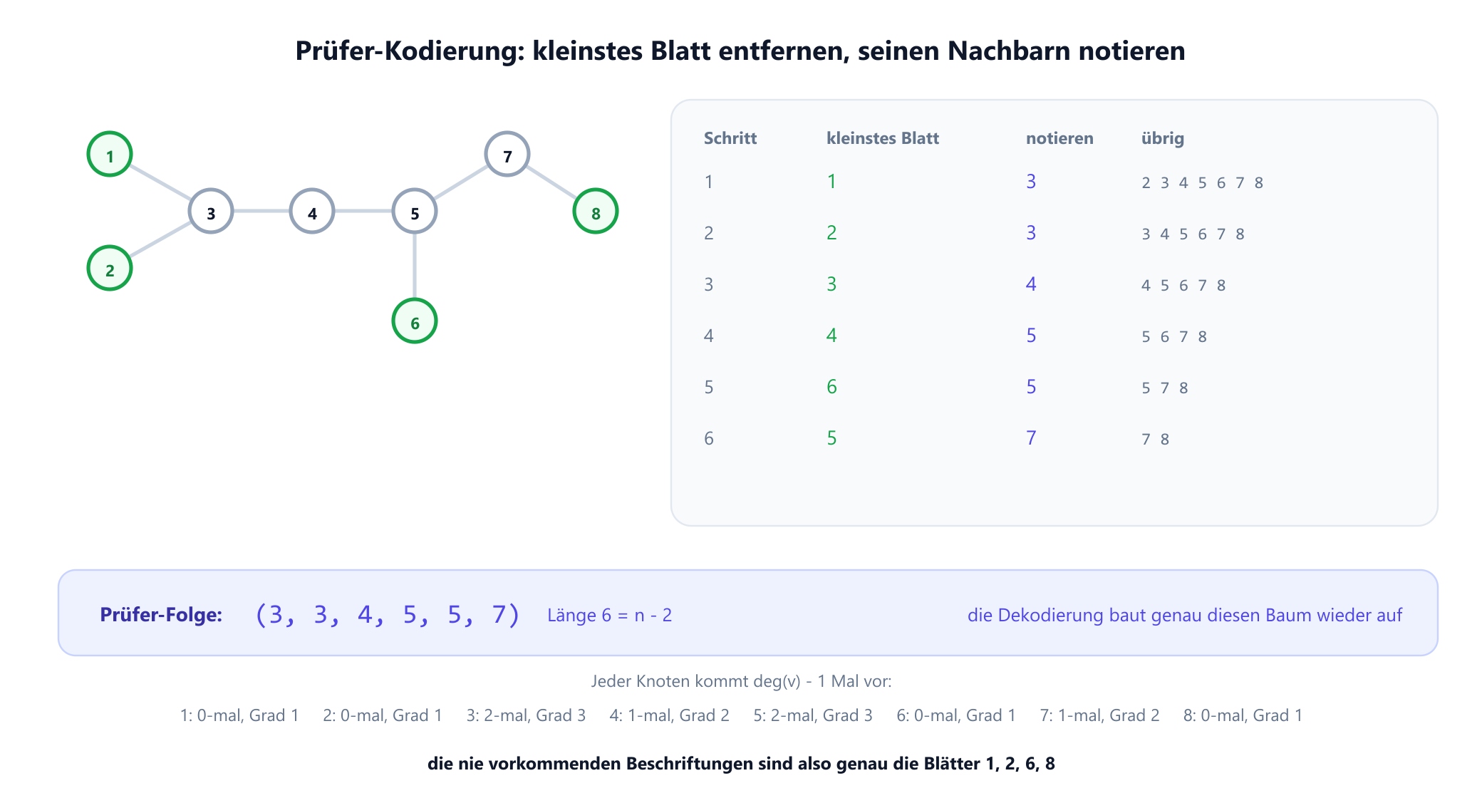 Der Beispielbaum mit acht Knoten neben einer Kodierungstabelle mit sechs Schritten. In jedem Schritt wird das kleinste verbleibende Blatt entfernt und sein Nachbar notiert: Blatt 1 ergibt 3, Blatt 2 ergibt 3, Blatt 3 ergibt 4, Blatt 4 ergibt 5, Blatt 6 ergibt 5, Blatt 5 ergibt 7, woraus die Prüfer-Folge 3, 3, 4, 5, 5, 7 entsteht. Ein Hinweis vermerkt, dass jeder Knoten einmal weniger vorkommt, als sein Grad angibt.