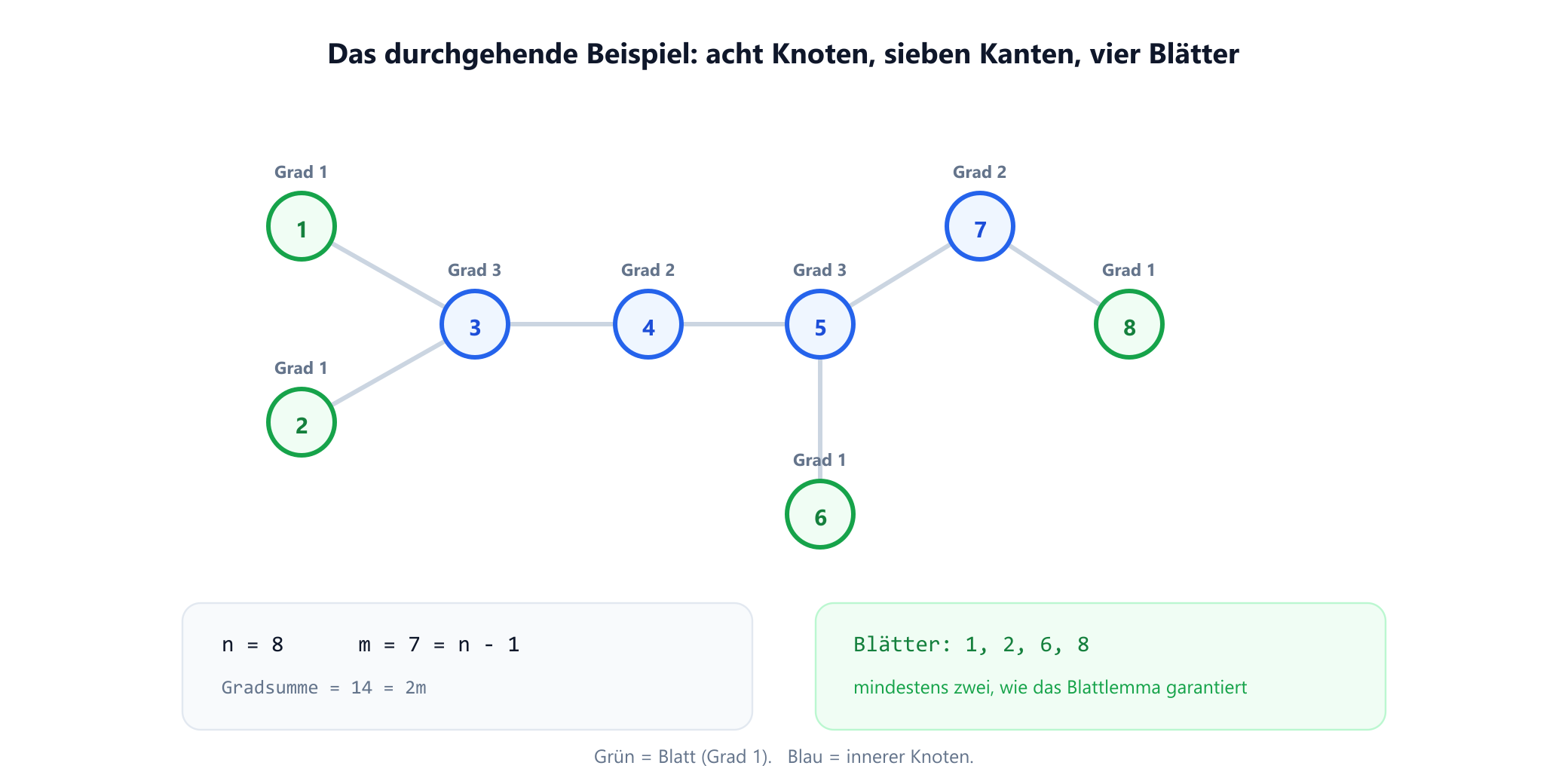 Ein Baum mit acht beschrifteten Knoten. Knoten 3 ist mit den Knoten 1, 2 und 4 verbunden; Knoten 4 mit 3 und 5; Knoten 5 mit 4, 6 und 7; Knoten 7 mit 5 und 8. Die Blätter 1, 2, 6 und 8 sind grün markiert, die inneren Knoten 3, 4, 5 und 7 blau, und jeder Knoten ist mit seinem Grad beschriftet. Ein Feld hält acht Knoten, sieben Kanten, die Gradsumme vierzehn und vier Blätter fest.