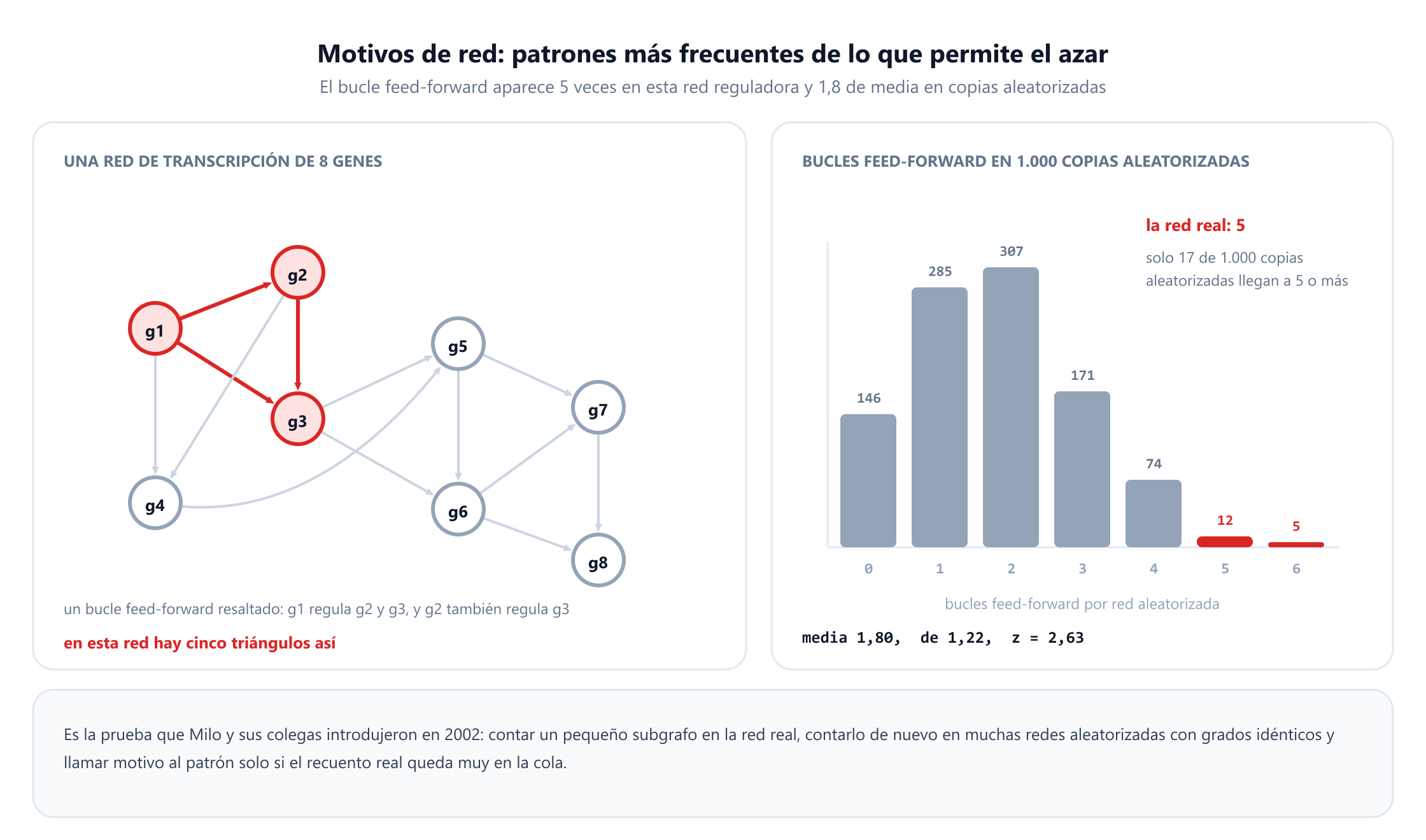 Una red de transcripción dirigida de ocho genes etiquetados de g1 a g8 con trece arcos. Un bucle feed-forward aparece resaltado en rojo: g1 regula g2, g1 regula g3 y g2 también regula g3. Al lado, un histograma muestra cuántos bucles feed-forward aparecen en 1.000 copias aleatorizadas de la red con grados idénticos: 146 copias no contienen ninguno, 285 contienen uno, 307 dos, 171 tres, 74 cuatro, 12 cinco y 5 seis. La red real contiene cinco, con una media aleatorizada de 1,80, una desviación estándar de 1,22 y una puntuación z de 2,63, y solo 17 de las 1.000 copias aleatorizadas llegan a cinco o más.