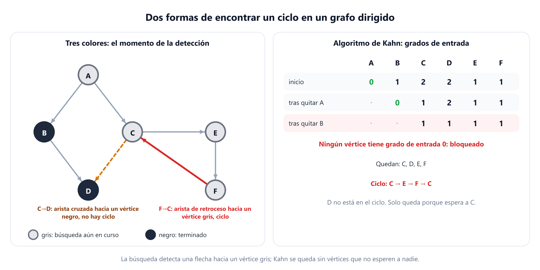 Panel izquierdo, búsqueda de tres colores: las seis tareas con la flecha de F a C añadida. A, C, E y F son grises; B y D son negros. La flecha de C a D está etiquetada como arista cruzada hacia un vértice negro, sin ciclo. La flecha de F a C está etiquetada como arista de retroceso hacia un vértice gris, ciclo C, E, F. Panel derecho, algoritmo de Kahn: grados de entrada A 0, B 1, C 2, D 2, E 1, F 1. Se eliminan A y B, y después ningún vértice tiene grado de entrada 0. Quedan C, D, E y F; C, E y F forman el ciclo, y D queda solo porque espera a C.