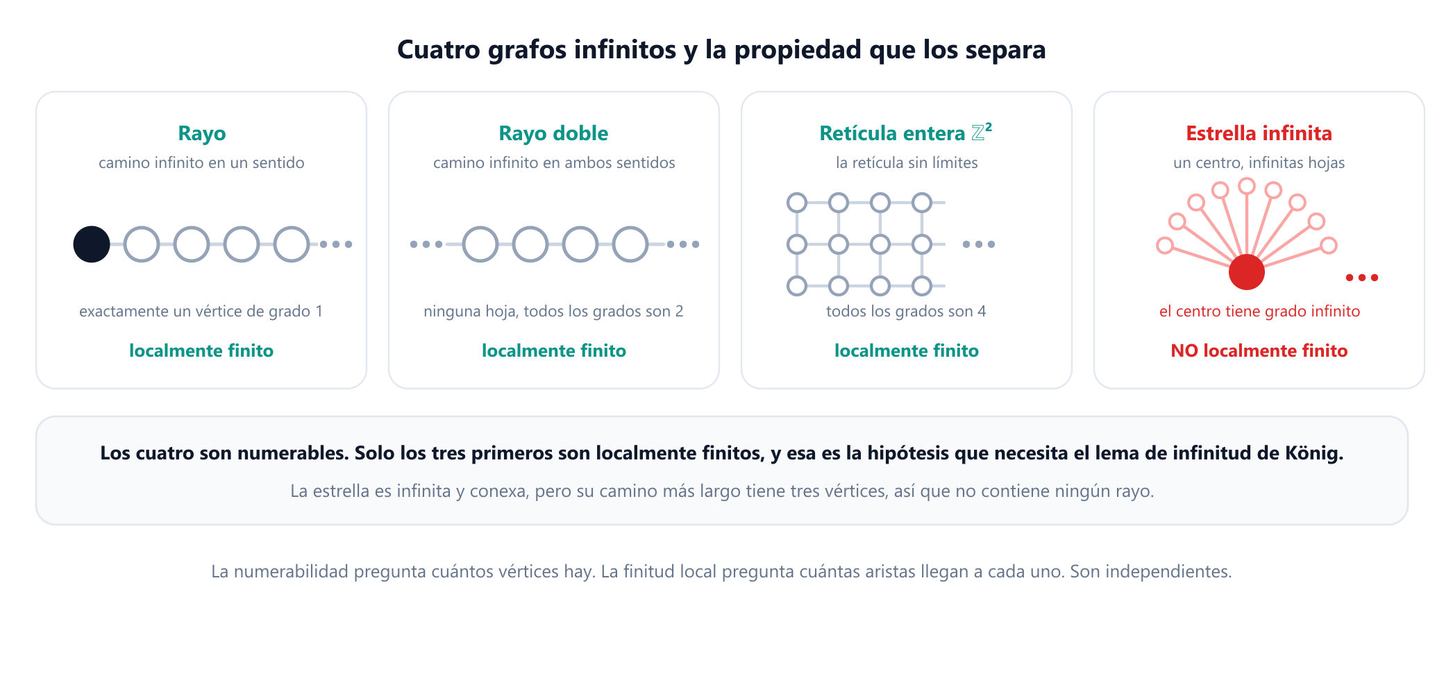 Cuatro grafos infinitos dibujados uno junto a otro con sus propiedades. Un rayo, el camino infinito en un sentido, es numerable y localmente finito, con un vértice de grado uno. Un rayo doble, el camino infinito en ambos sentidos, es numerable y localmente finito, con todos los vértices de grado dos y ninguna hoja. La retícula cuadrada infinita sobre los enteros es numerable y localmente finita, con todos los vértices de grado cuatro. Una estrella infinita es numerable pero no localmente finita, ya que su centro tiene grado infinito.