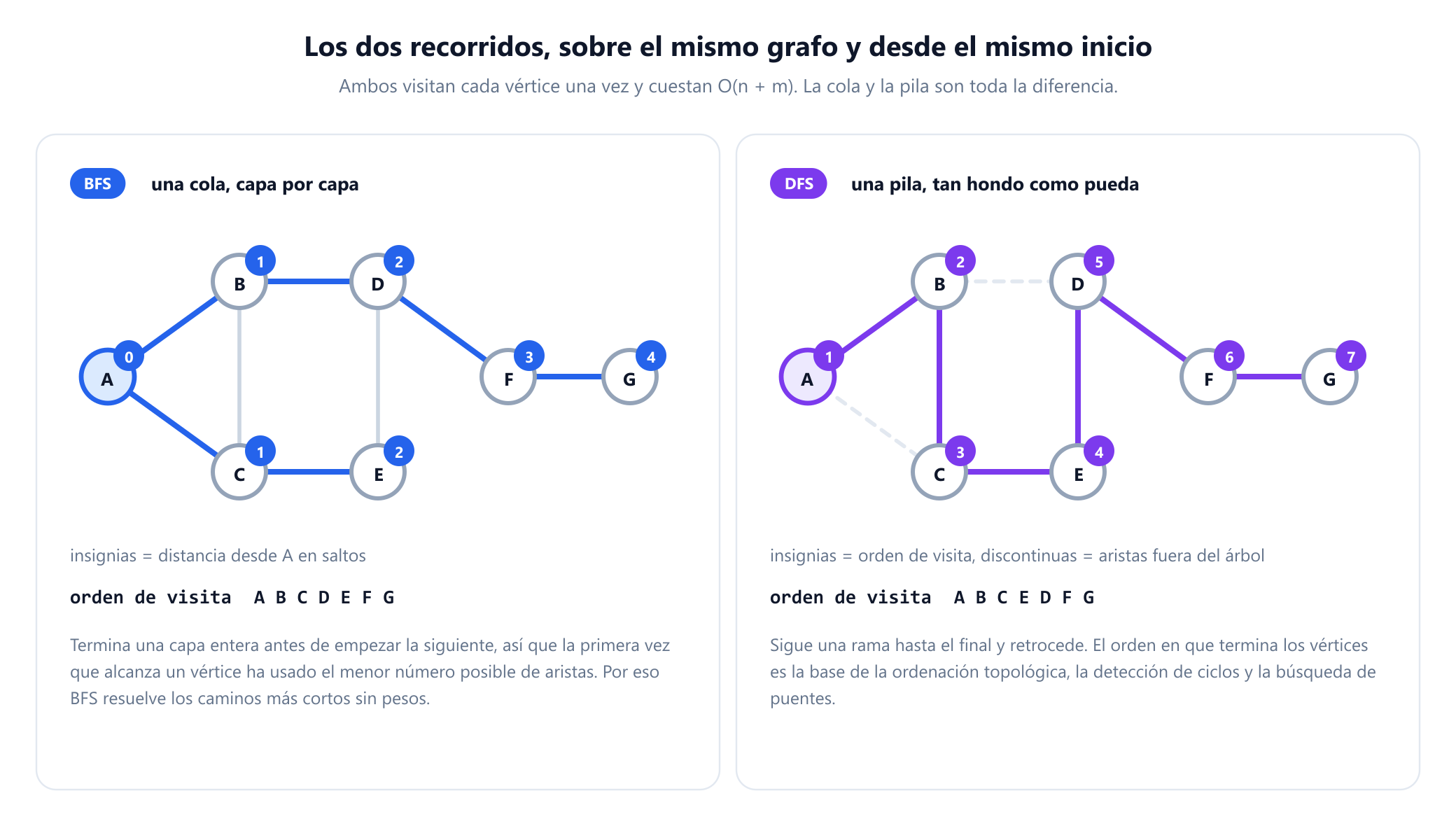 Dos paneles con el mismo grafo de siete vértices recorrido desde el vértice A. A la izquierda, la búsqueda en anchura con insignias azules que dan a cada vértice su distancia desde A en saltos: A es 0, B y C son 1, D y E son 2, F es 3 y G es 4, con las seis aristas del árbol resaltadas y el orden de visita A B C D E F G. A la derecha, la búsqueda en profundidad con insignias moradas que dan el orden de visita del 1 al 7 como A, B, C, E, D, F, G, sus propias seis aristas del árbol resaltadas y las dos aristas que no pertenecen al árbol dibujadas con trazo discontinuo.