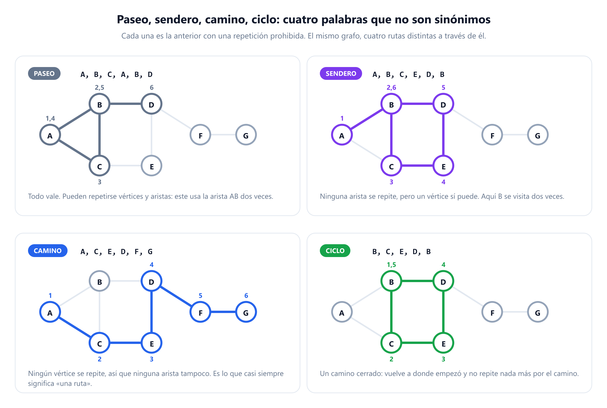 Cuatro paneles, cada uno con el mismo grafo de siete vértices, una ruta distinta resaltada y sus pasos numerados. Paseo: A, B, C, A, B, D, que reutiliza la arista A B. Sendero: A, B, C, E, D, B, que repite el vértice B pero ninguna arista. Camino: A, C, E, D, F, G, que no repite nada. Ciclo: B, C, E, D, B, un camino cerrado que vuelve a su inicio.