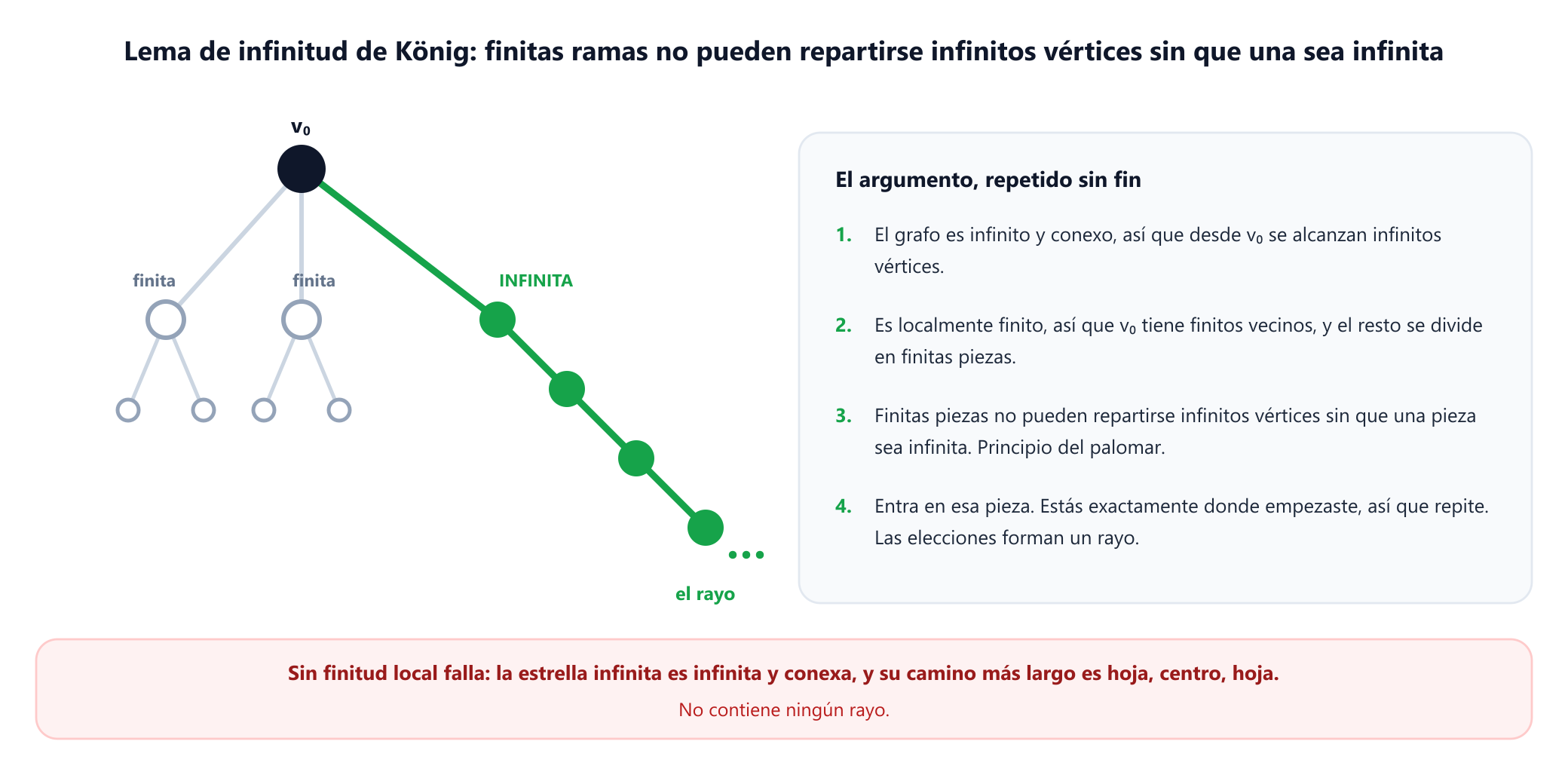 Un árbol infinito localmente finito con raíz v cero, cuyos tres subárboles están etiquetados con su tamaño: finito, finito e infinito. La rama infinita aparece resaltada como la que sigue el argumento, y un texto explica que, como la raíz tiene finitos vecinos y el grafo entero es infinito, al menos una rama debe contener infinitos vértices, de modo que el paso puede repetirse para siempre y construye un rayo.