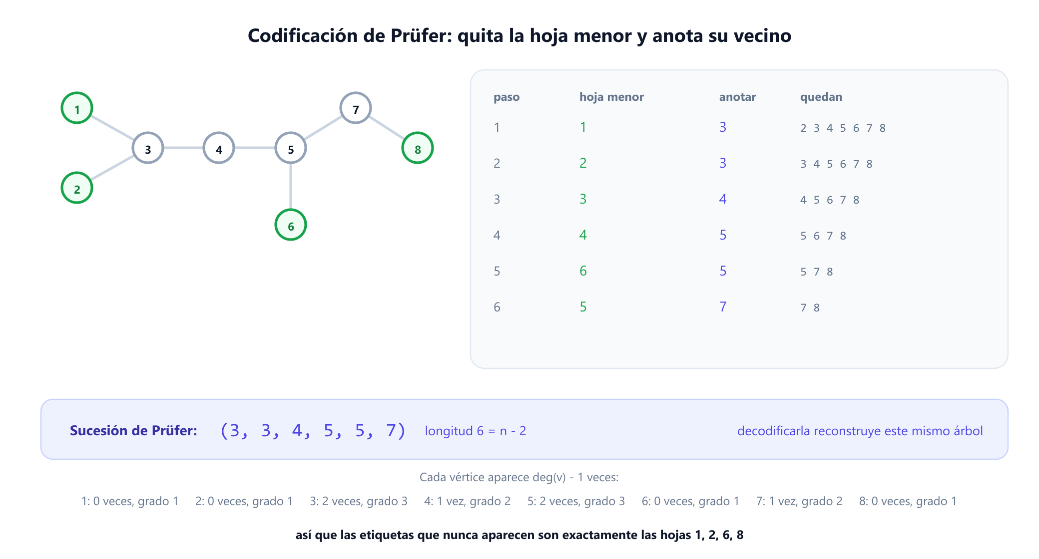 El árbol de ejemplo de ocho vértices junto a una tabla de codificación de seis pasos. En cada paso se quita la hoja restante más pequeña y se anota su vecino: la hoja 1 da 3, la hoja 2 da 3, la hoja 3 da 4, la hoja 4 da 5, la hoja 6 da 5, la hoja 5 da 7, lo que deja la sucesión de Prüfer 3, 3, 4, 5, 5, 7. Una nota indica que cada vértice aparece una vez menos que su grado.