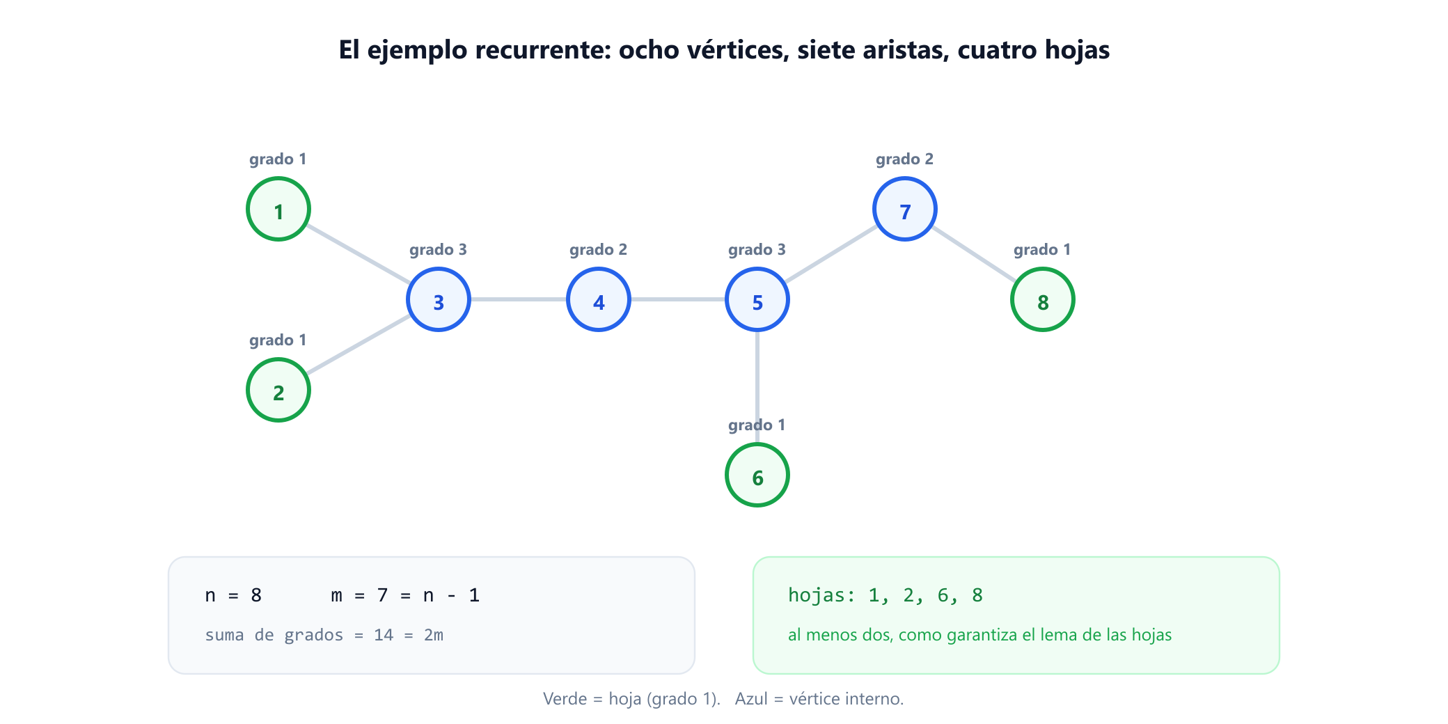 Un árbol con ocho vértices etiquetados. El vértice 3 une los vértices 1, 2 y 4; el vértice 4 une 3 y 5; el vértice 5 une 4, 6 y 7; el vértice 7 une 5 y 8. Las hojas 1, 2, 6 y 8 están marcadas en verde, los vértices internos 3, 4, 5 y 7 en azul, y cada vértice lleva su grado. Un panel registra ocho vértices, siete aristas, una suma de grados de catorce y cuatro hojas.
