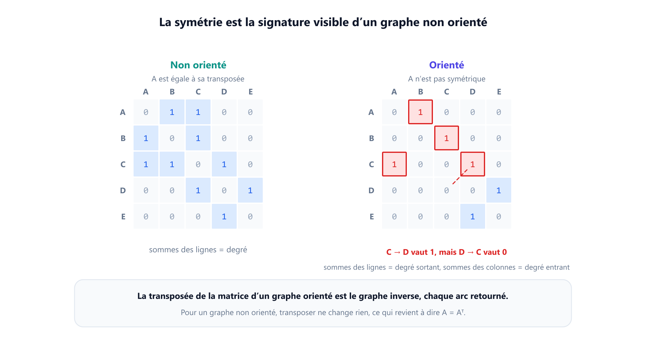 Deux matrices d'adjacence cinq par cinq pour le même ensemble de sommets, de A à E. La matrice de gauche, celle du graphe non orienté, est symétrique par rapport à sa diagonale principale, avec les paires de 1 en miroir mises en évidence. La matrice de droite, celle du graphe orienté, n'est pas symétrique : le coefficient de C vers D vaut 1 tandis que celui de D vers C vaut 0. À droite, les sommes des lignes sont indiquées comme degrés sortants et les sommes des colonnes comme degrés entrants.