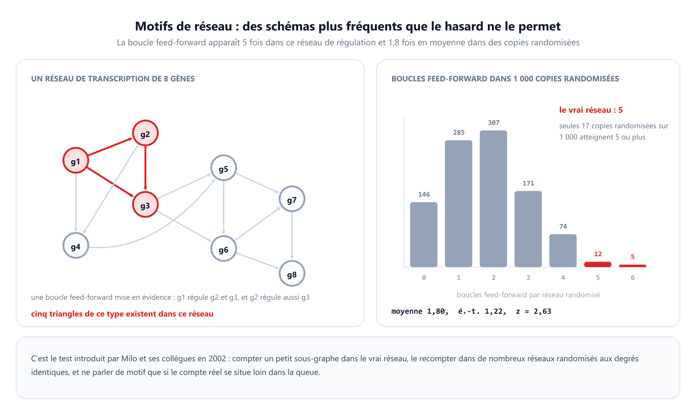 Un réseau de transcription orienté de huit gènes étiquetés de g1 à g8 avec treize arcs. Une boucle feed-forward est mise en évidence en rouge : g1 régule g2, g1 régule g3, et g2 régule aussi g3. À côté, un histogramme montre combien de boucles feed-forward apparaissent dans 1 000 copies randomisées du réseau aux degrés identiques : 146 copies n'en contiennent aucune, 285 en contiennent une, 307 deux, 171 trois, 74 quatre, 12 cinq et 5 six. Le vrai réseau en contient cinq, pour une moyenne randomisée de 1,80, un écart-type de 1,22 et un score z de 2,63, et seules 17 des 1 000 copies randomisées atteignent cinq ou plus.