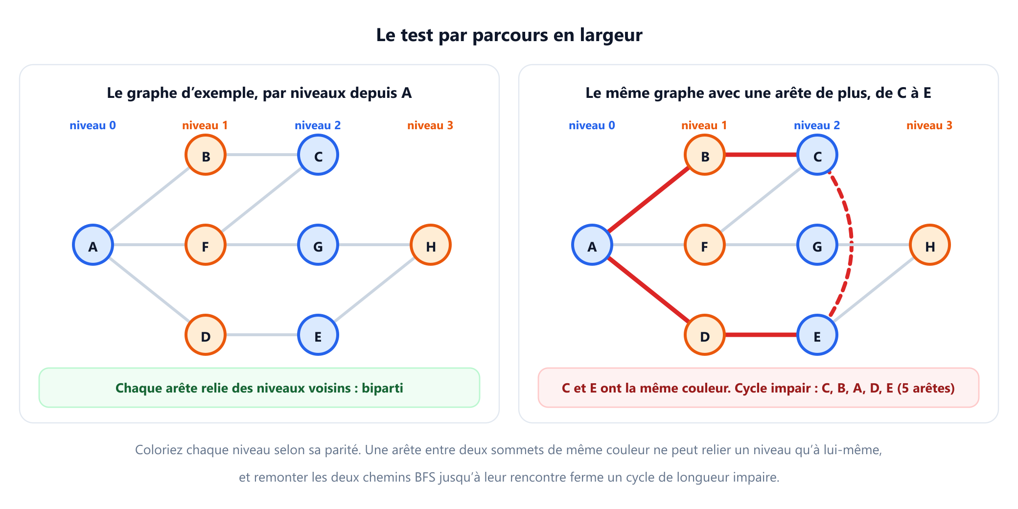 Deux panneaux du graphe d'exemple organisé en niveaux de parcours en largeur depuis A : le niveau 0 contient A, le niveau 1 contient B, F et D, le niveau 2 contient C, G et E, le niveau 3 contient H, les niveaux étant coloriés alternativement en bleu et en orange. Dans le panneau de gauche, chaque arête relie des niveaux voisins et le verdict est biparti. Dans le panneau de droite, une arête rouge en pointillés supplémentaire relie C et E à l'intérieur du niveau 2, et le cycle impair C, B, A, D, E est tracé en rouge avec le verdict que C et E partagent une couleur.