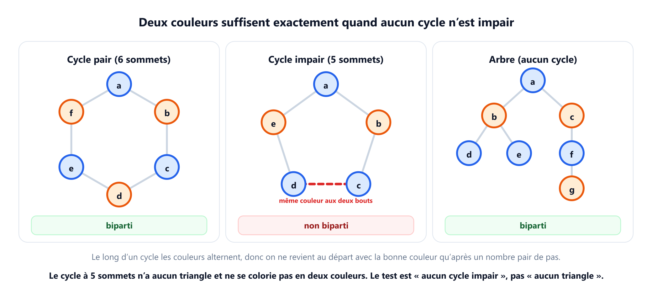 Trois panneaux. Un cycle à 6 sommets alternativement bleus et orange, marqué biparti. Un cycle à 5 sommets colorié alternativement depuis le haut, dont la dernière arête relie deux sommets bleus d et c et est tracée en pointillés rouges avec la mention même couleur aux deux extrémités, marqué non biparti. Un arbre à sept sommets colorié selon la parité de la profondeur, marqué biparti. En dessous, la remarque que le cycle à 5 sommets n'a aucun triangle et ne peut pourtant pas être colorié avec deux couleurs.