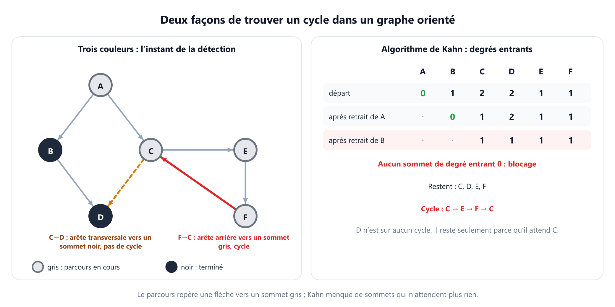 Panneau de gauche, recherche à trois couleurs : les six tâches avec la flèche de F vers C ajoutée. A, C, E et F sont gris, B et D sont noirs. La flèche de C vers D est étiquetée arête transversale vers un sommet noir, pas de cycle. La flèche de F vers C est étiquetée arête arrière vers un sommet gris, cycle C, E, F. Panneau de droite, algorithme de Kahn : degrés entrants A 0, B 1, C 2, D 2, E 1, F 1. A et B sont retirés, puis plus aucun sommet n'a un degré entrant 0. Il reste C, D, E et F ; C, E et F forment le cycle, et D ne reste que parce qu'il attend C.
