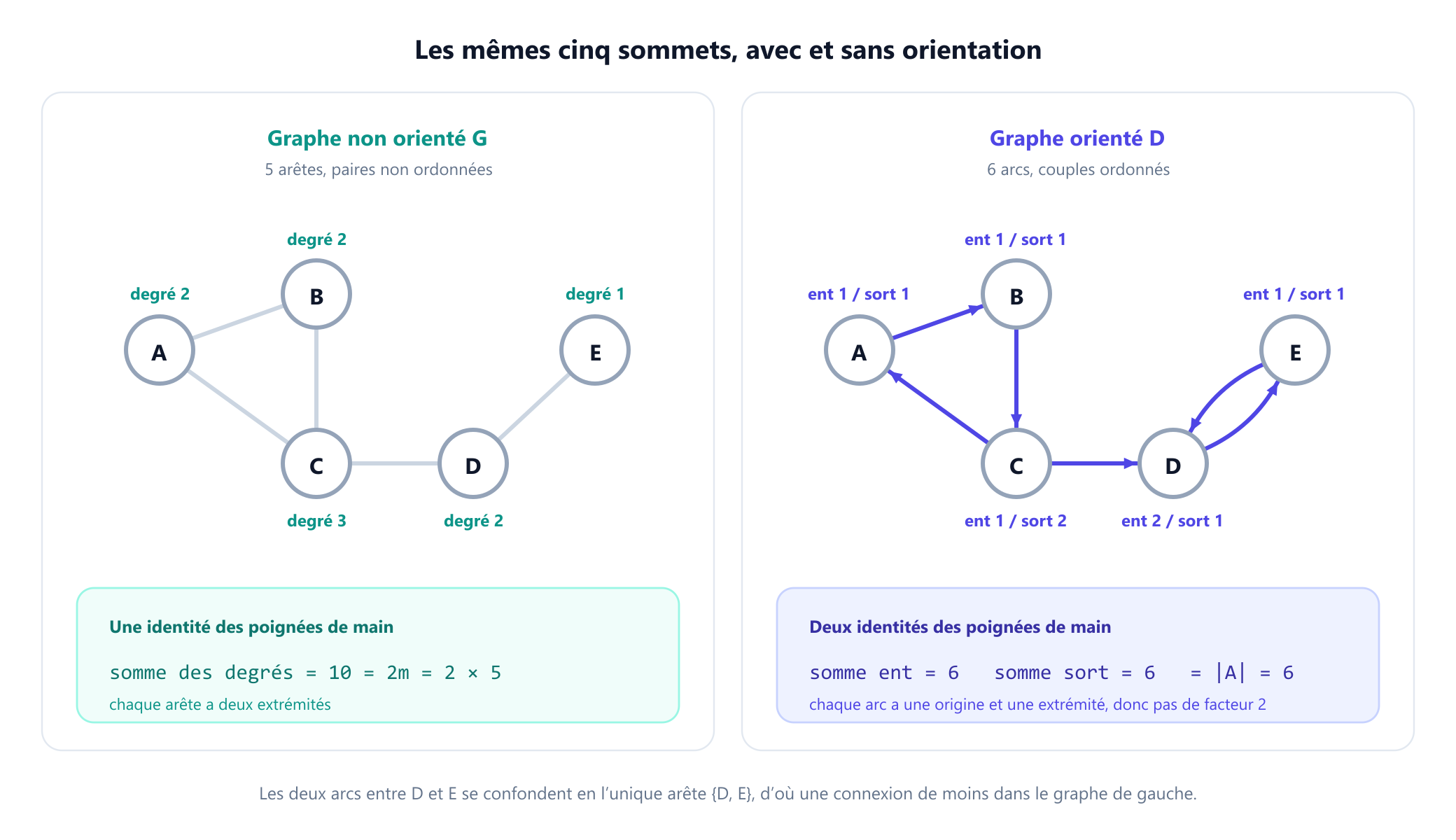 Deux panneaux montrant les cinq mêmes sommets, de A à E. Le panneau de gauche est un graphe non orienté à cinq arêtes simples : A à B, B à C, C à A, C à D et D à E, et chaque sommet porte son degré, 2, 2, 3, 2 et 1. Le panneau de droite est un graphe orienté à six flèches : de A vers B, de B vers C, de C vers A, de C vers D, de D vers E et de E retour vers D, et chaque sommet porte ses degrés entrant et sortant. Une légende indique que la somme des degrés vaut 10 à gauche, deux fois les cinq arêtes, tandis qu'à droite les degrés entrants et les degrés sortants totalisent chacun six, le nombre d'arcs.