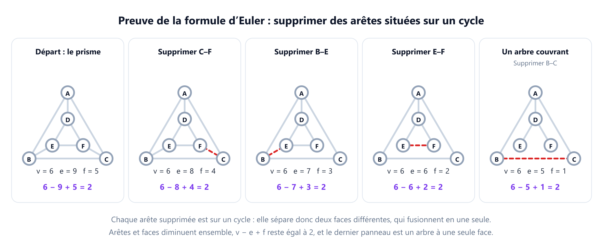 Cinq petits panneaux du prisme triangulaire. Dans le premier, les 9 arêtes sont dessinées et le décompte indique v 6, e 9, f 5. Dans chaque panneau suivant, une arête de plus située sur un cycle est tracée en pointillés rouges comme supprimée, et les deux faces qu'elle séparait fusionnent : d'abord l'arête C F, puis B E, puis E F, puis B C. Les décomptes indiquent 6, 8, 4, puis 6, 7, 3, puis 6, 6, 2, puis 6, 5, 1, et le dernier panneau est un arbre couvrant à une seule face. Sous chaque panneau, v moins e plus f égale 2.