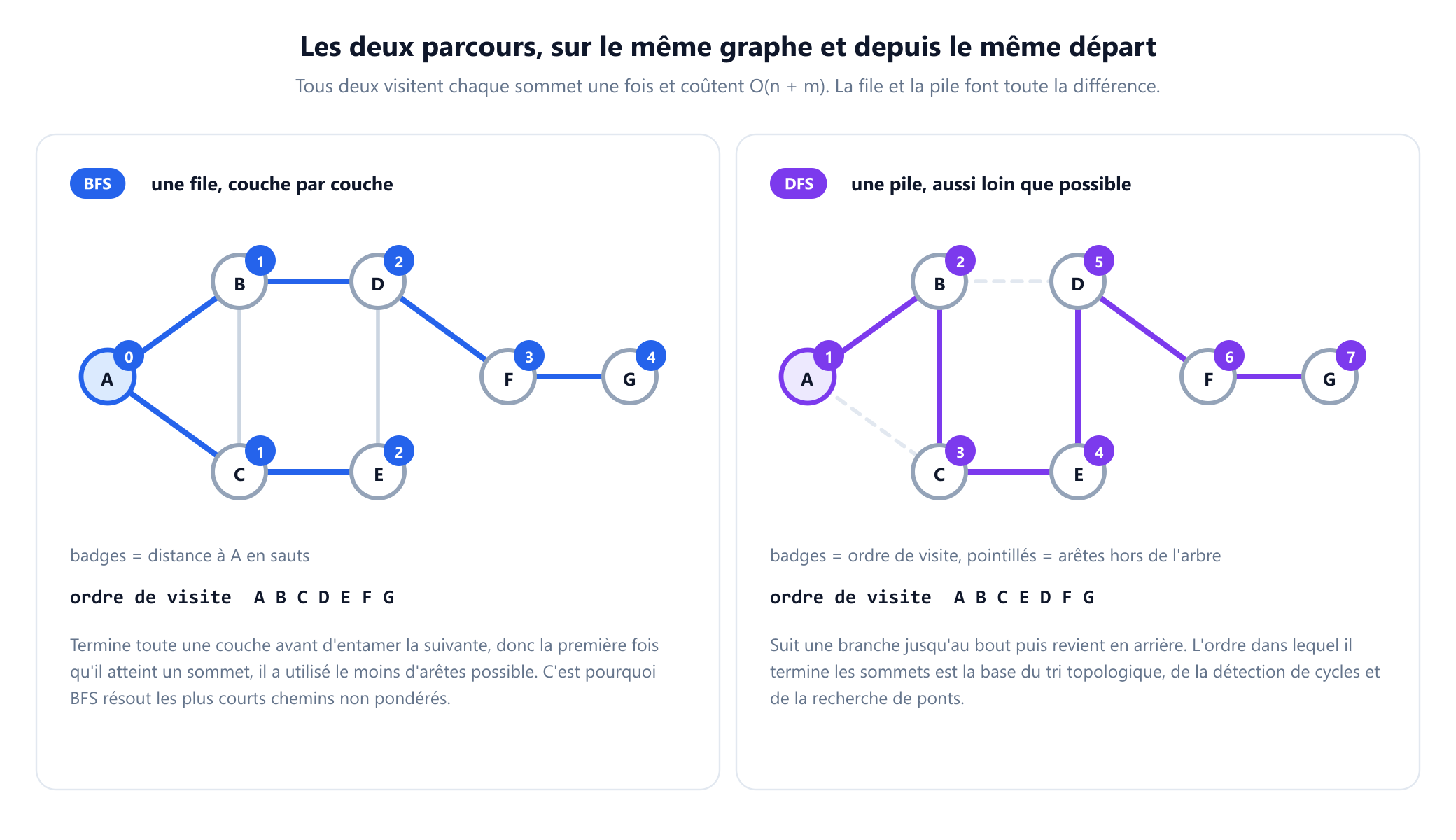 Deux panneaux du même graphe à sept sommets parcouru depuis le sommet A. À gauche, le parcours en largeur avec des badges bleus donnant à chaque sommet sa distance à A en nombre de sauts : A vaut 0, B et C valent 1, D et E valent 2, F vaut 3 et G vaut 4, avec les six arêtes de l'arbre mises en évidence et l'ordre de visite A B C D E F G. À droite, le parcours en profondeur avec des badges violets donnant l'ordre de visite de 1 à 7, soit A, B, C, E, D, F, G, ses propres six arêtes d'arbre mises en évidence et les deux arêtes hors de l'arbre tracées en pointillés.