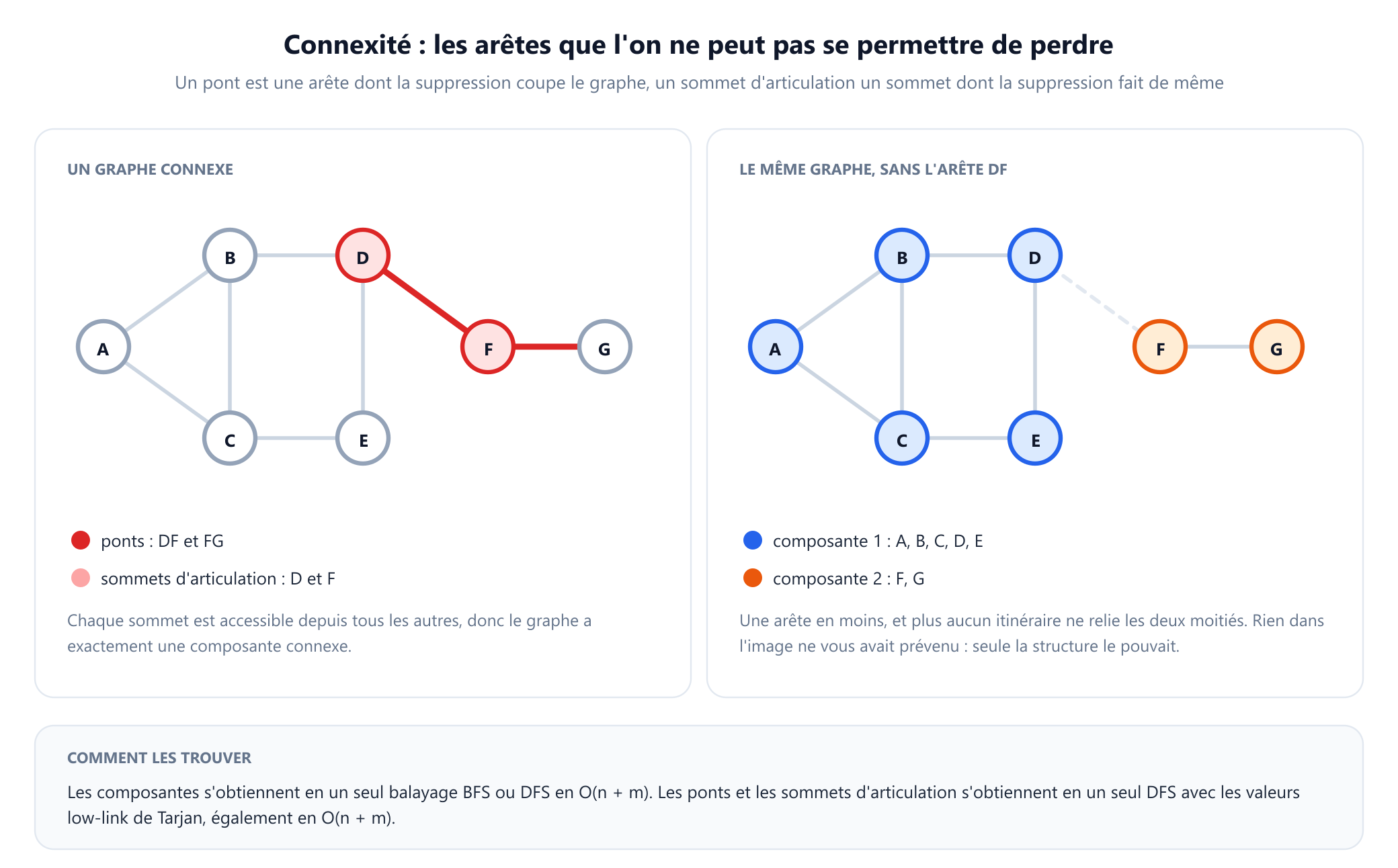 Deux panneaux. À gauche, le graphe récurrent à sept sommets avec les arêtes de D à F et de F à G tracées en rouge et les sommets D et F remplis de rose, étiquetés comme ponts et sommets d'articulation. À droite, le même graphe avec l'arête de D à F supprimée et tracée en pointillés pâles, ce qui scinde l'image en une composante bleue contenant A, B, C, D et E et une composante orange contenant F et G. Une note explique que les composantes s'obtiennent en un seul balayage BFS ou DFS en temps linéaire et que les ponts et sommets d'articulation s'obtiennent en un seul DFS avec les valeurs low-link de Tarjan.