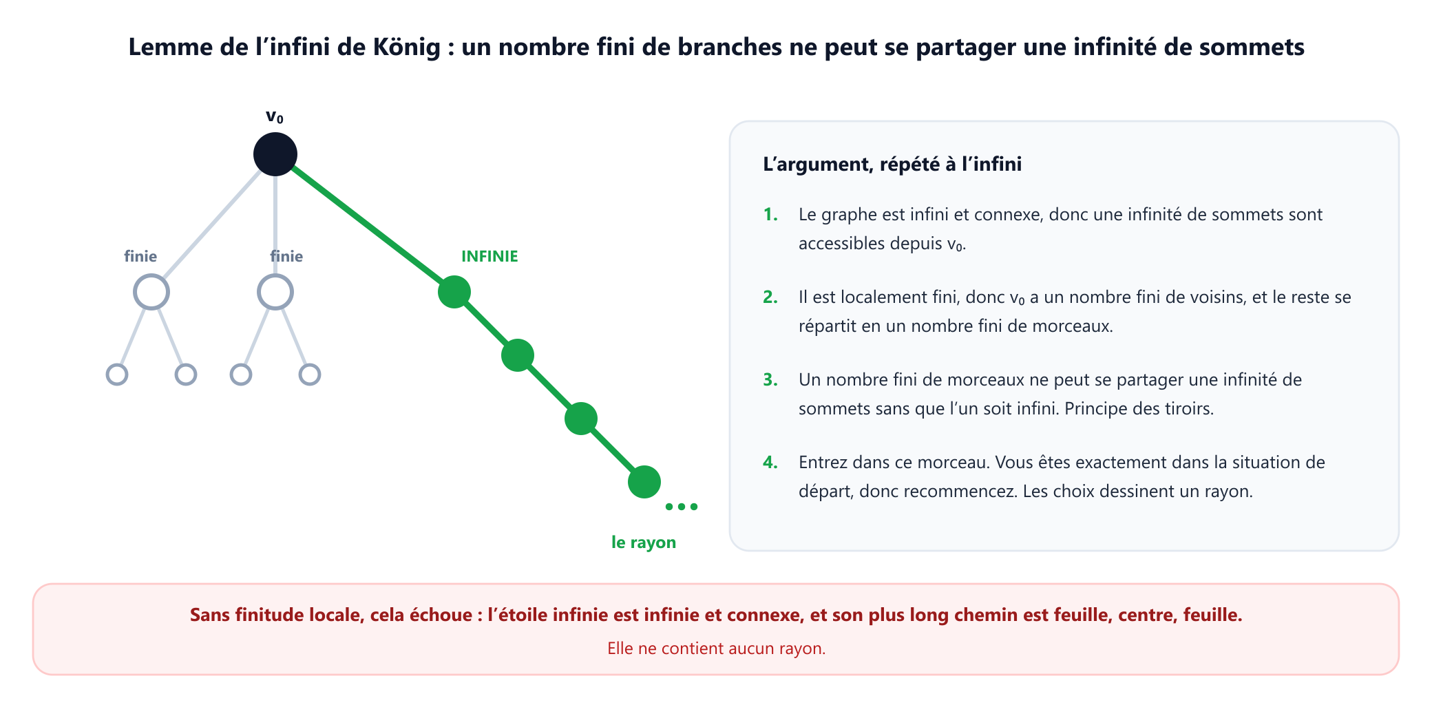 Un arbre infini localement fini de racine v zéro, dont les trois sous-arbres sont étiquetés selon leur taille : fini, fini et infini. La branche infinie est mise en évidence comme celle que suit l'argument, et un texte explique que, la racine n'ayant qu'un nombre fini de voisins et le graphe entier étant infini, au moins une branche doit contenir une infinité de sommets, si bien que l'étape peut être répétée indéfiniment et construit un rayon.
