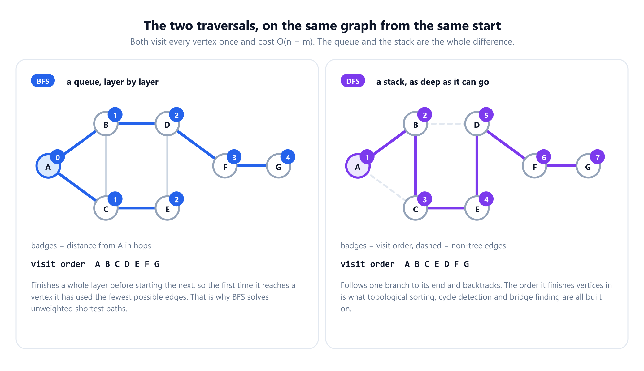 Two panels of the same seven-vertex graph traversed from vertex A. On the left, breadth first search with blue badges giving each vertex its distance from A in hops: A is 0, B and C are 1, D and E are 2, F is 3 and G is 4, with the six tree edges highlighted and the visit order A B C D E F G. On the right, depth first search with purple badges giving the visit order 1 to 7 as A, B, C, E, D, F, G, its own six tree edges highlighted and the two non-tree edges drawn dashed.