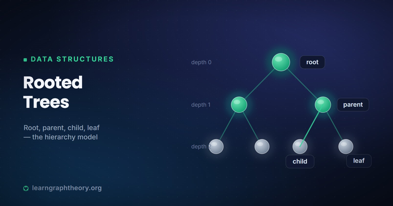 Rooted Trees in Graph Theory