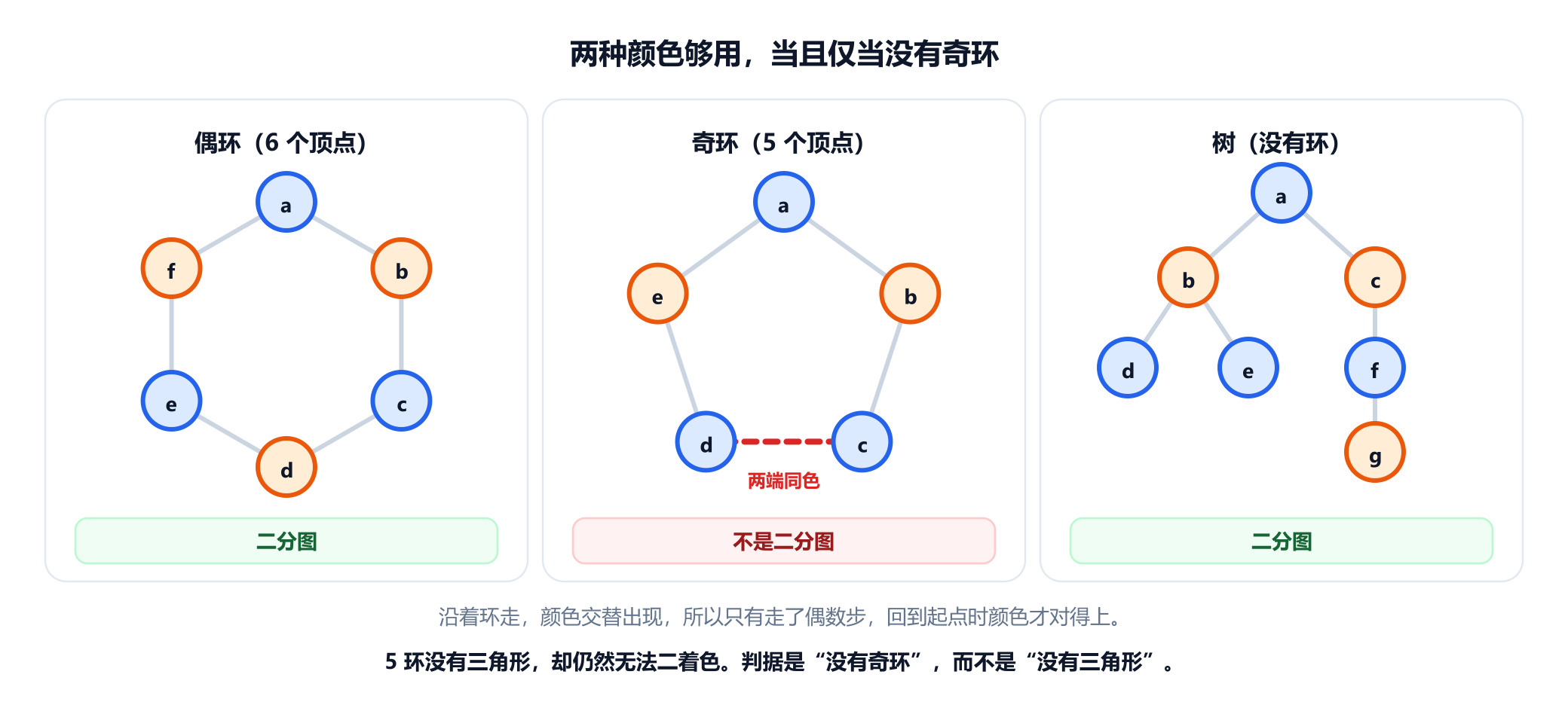三栏。一个 6 个顶点的环，蓝橙交替，标为二分图。一个 5 个顶点的环，从顶部开始交替着色，最后一条边连接两个蓝色顶点 d 和 c，画成红色虚线并标注两端同色，标为非二分图。一棵 7 个顶点的树，按深度奇偶着色，标为二分图。下方注明 5 环没有三角形，却仍然无法用两种颜色着色。