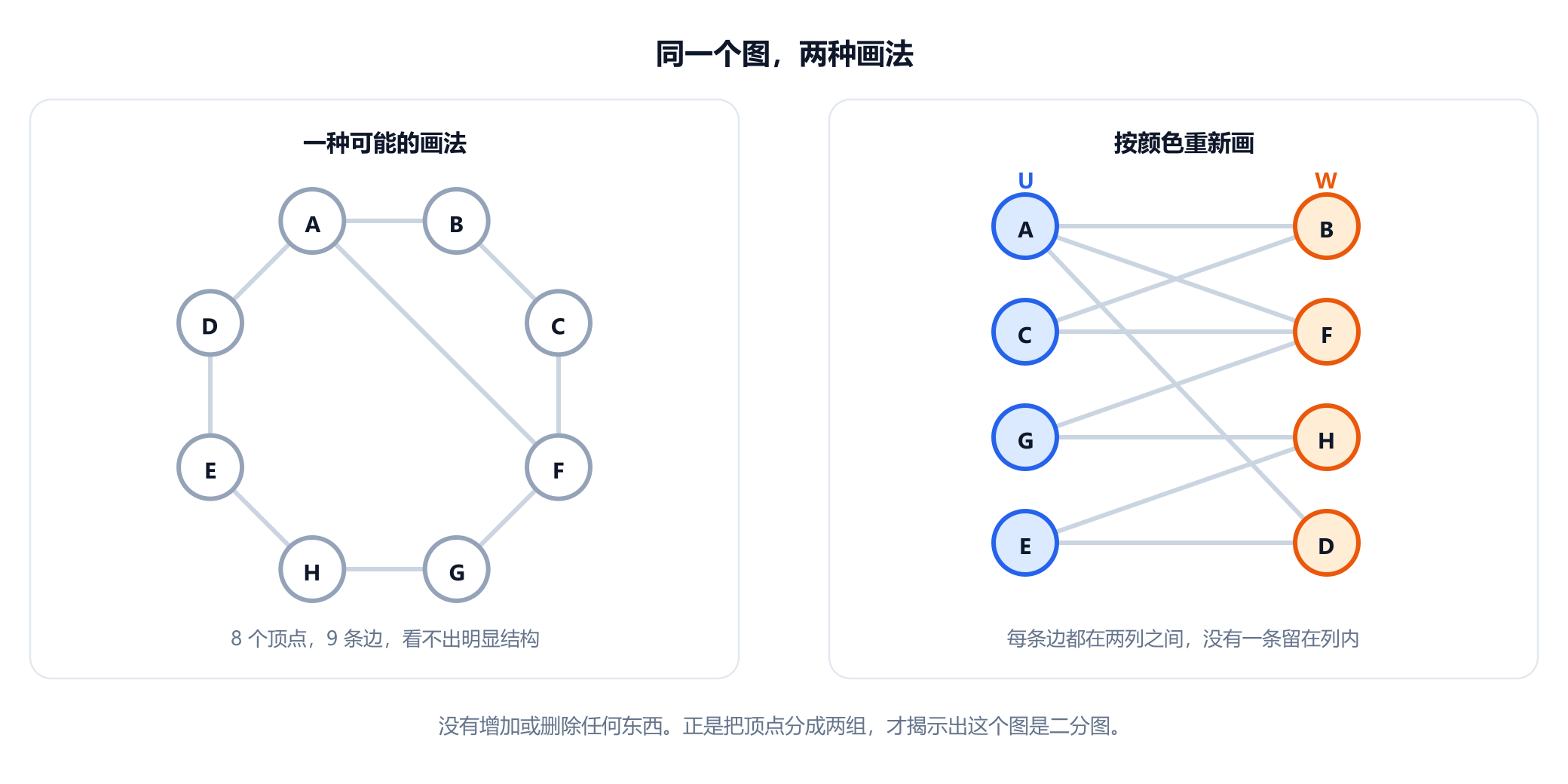 两栏展示同一个图。左栏中，八个灰色顶点 A 到 H 画成一个环，并有一条从 A 到 F 的弦，标注为 8 个顶点、9 条边。右栏中，顶点被排进一列蓝色的 U（含 A、C、G、E）和一列橙色的 W（含 B、F、H、D），九条边全都在两列之间。