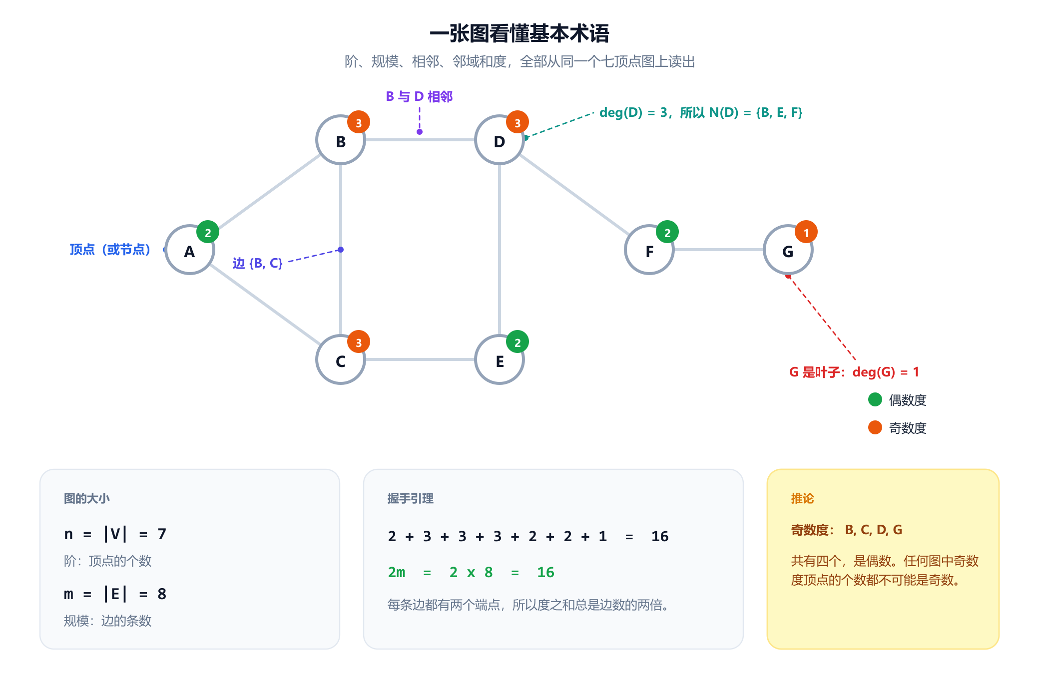 一个有七个顶点的图，顶点标为 A 到 G，共八条边。每个顶点都带有一个显示其度数的彩色徽章：A 为 2，B 为 3，C 为 3，D 为 3，E 为 2，F 为 2，G 为 1。绿色徽章表示偶数度，橙色徽章表示奇数度。标注分别指出一个顶点、边 B C、B 和 D 相邻这一事实、D 的邻域，以及作为叶子的 G。下方的面板给出阶 n 等于 7、规模 m 等于 8，度数之和 2 加 3 加 3 加 3 加 2 加 2 加 1 等于 16，即边数的两倍，以及推论：四个奇数度顶点的个数是偶数。