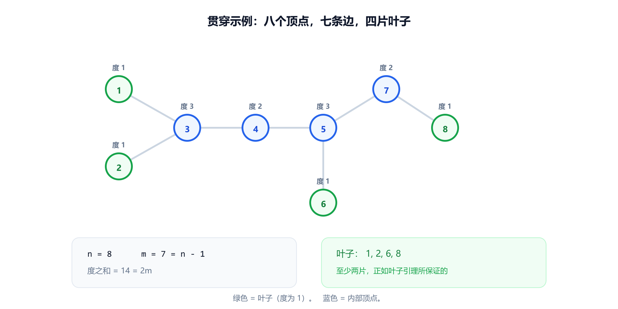 一棵有八个带标号顶点的树。顶点 3 与顶点 1、2、4 相连；顶点 4 与 3、5 相连；顶点 5 与 4、6、7 相连；顶点 7 与 5、8 相连。叶子 1、2、6、8 标为绿色，内部顶点 3、4、5、7 标为蓝色，每个顶点旁都注明了它的度。一个面板写明八个顶点、七条边、度之和为十四、四片叶子。